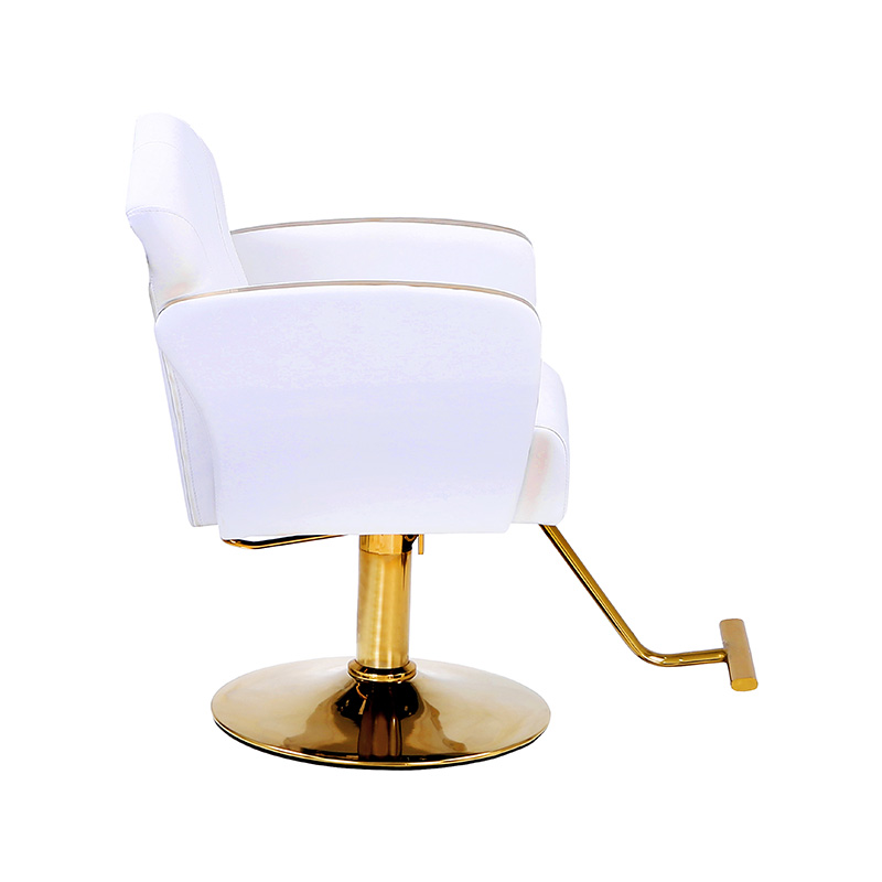 HZ8808 / HZ8808W Krzesła do stylizacji salonu Auty